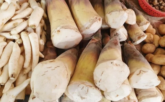 Cách loại bỏ độc tố trong măng tươi hiệu quả nhất