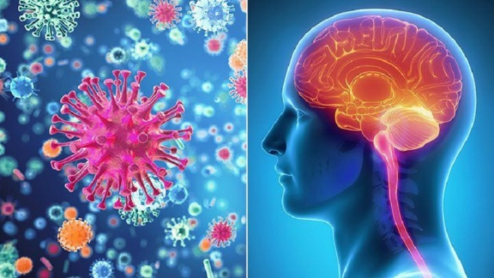 Khả năng lây nhiễm của vi khuẩn não mô cầu không thua kém bệnh sởi